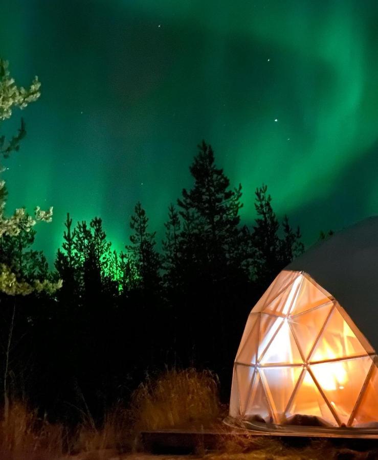 Aurora Igloo Fireplace-Heated Tents In A Secret Forest With Private Jacuzzi And Shared Sauna Bathroom And Dog Friendly โรวานิเอมิ ภายนอก รูปภาพ