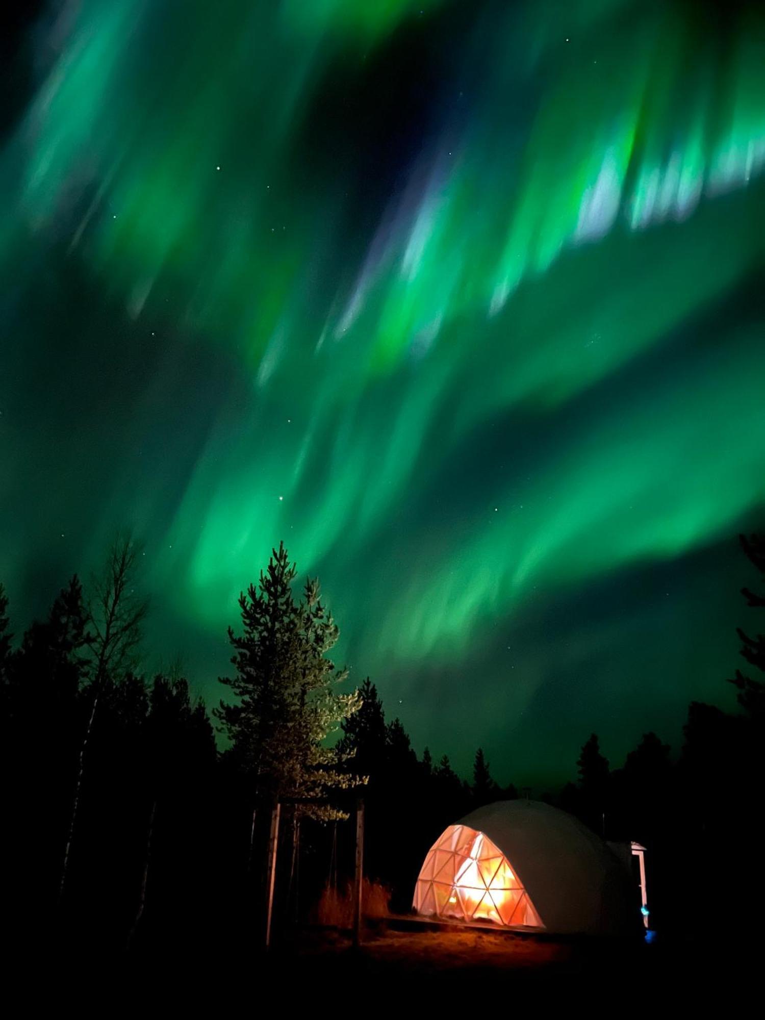 Aurora Igloo Fireplace-Heated Tents In A Secret Forest With Private Jacuzzi And Shared Sauna Bathroom And Dog Friendly โรวานิเอมิ ภายนอก รูปภาพ